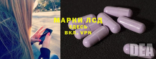 стаф Вяземский