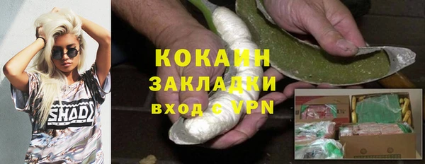 гашик Вязьма
