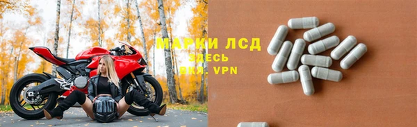стаф Вяземский