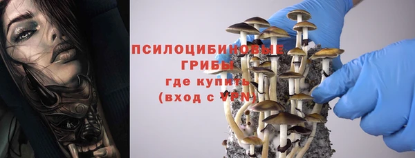 гашик Вязьма