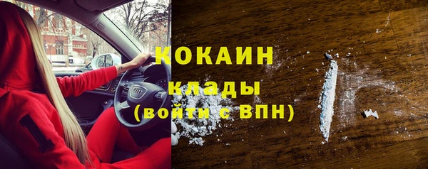 гашик Вязьма