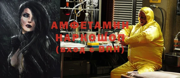 гашик Вязьма