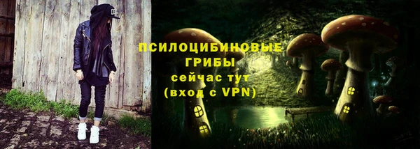 стаф Вяземский