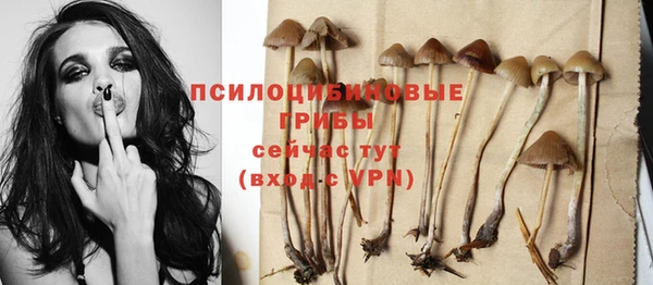 стаф Вяземский