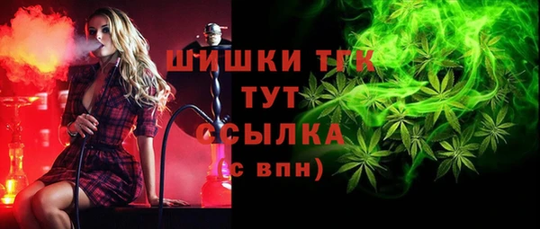 стаф Вяземский
