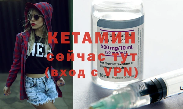 стаф Вяземский