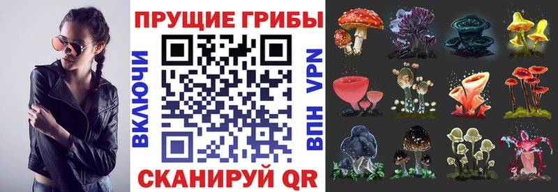 Псилоцибиновые грибы MAGIC MUSHROOMS  Сасово 